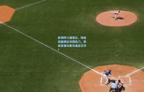 欧洲杯八强落位,球迷调查揭示夺冠热门,传统豪强与黑马谁主沉浮?