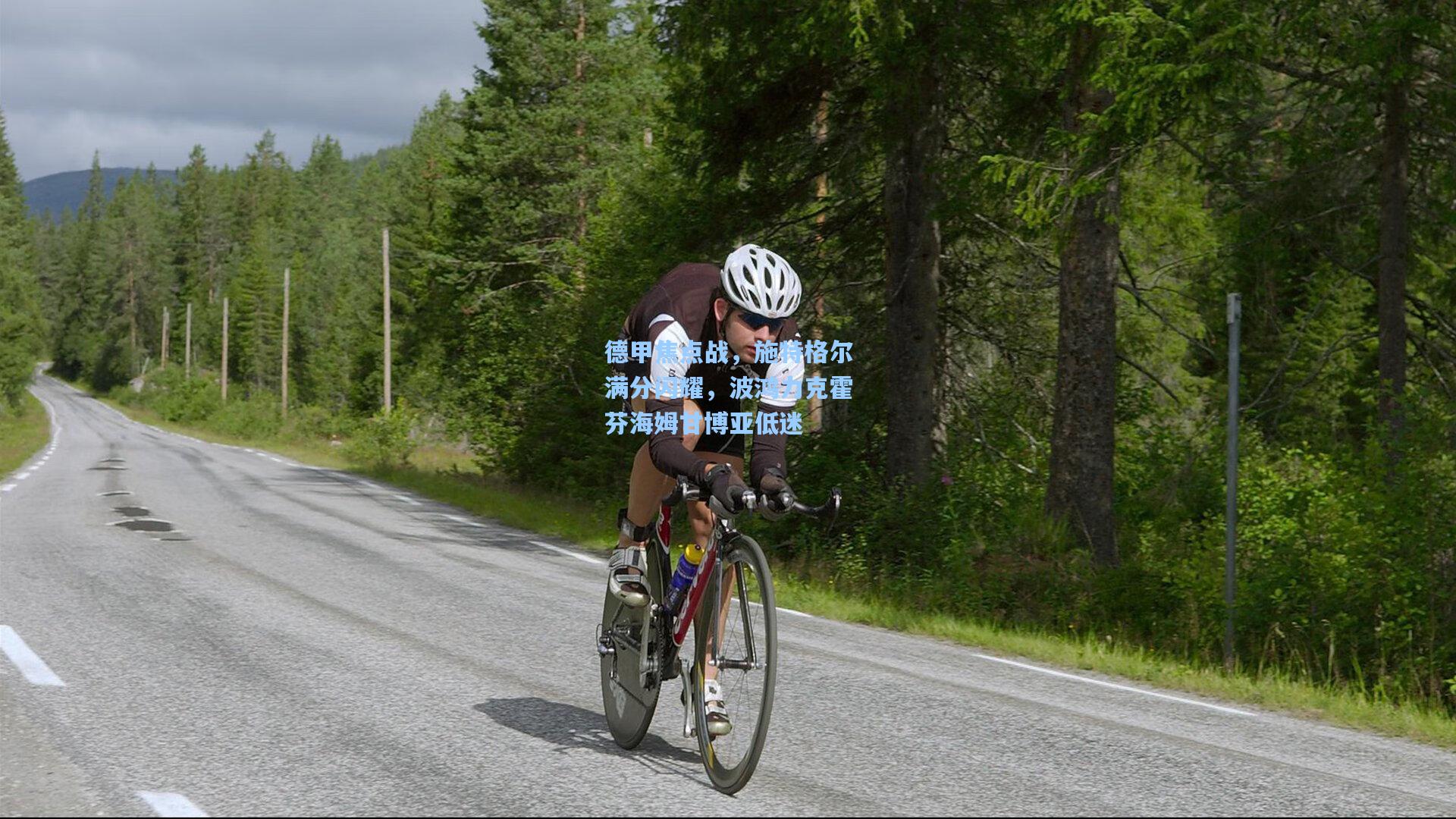 德甲焦点战,施特格尔满分闪耀,波鸿力克霍芬海姆甘博亚低迷